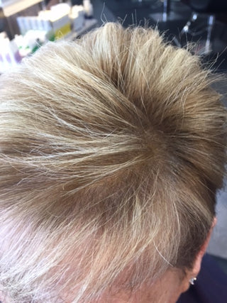 Hair Building Fibers - Starter Bundle